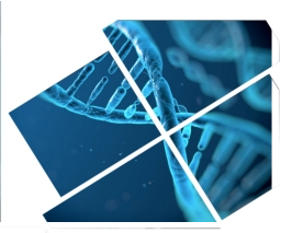 Investigación Patentes y Marcas en Aravaca - Alcobendas - Boadilla del Monte -majadahonda - Las Rozas - Pozuelo de Alarcón - Torrelodones