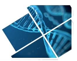 Investigación Patentes y Marcas en Aravaca - Alcobendas - Boadilla del Monte -majadahonda - Las Rozas - Pozuelo de Alarcón - Torrelodones