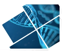 Investigación Patentes y Marcas en Aravaca - Alcobendas - Boadilla del Monte -majadahonda - Las Rozas - Pozuelo de Alarcón - Torrelodones