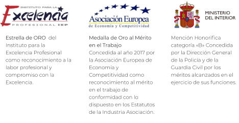 Mención Honorifica categoría «B» Concedida por la Dirección General de la Policía y de la Guardia Civil por los méritos alcanzados en el ejercicio de sus funciones.   Medalla de Oro al Mérito en el Trabajo Concedida al año 2017 por la Asociación Europea de Economía y Competitividad como reconocimiento al mérito en el trabajo de conformidad con lo dispuesto en los Estatutos de la Industria Asociación.  Estrella de ORO  del Instituto para la Excelencia Profesional como reconocimiento a la labor profesional y compromiso con la Excelencia.