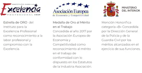 Mención Honorifica categoría «B» Concedida por la Dirección General de la Policía y de la Guardia Civil por los méritos alcanzados en el ejercicio de sus funciones.   Medalla de Oro al Mérito en el Trabajo Concedida al año 2017 por la Asociación Europea de Economía y Competitividad como reconocimiento al mérito en el trabajo de conformidad con lo dispuesto en los Estatutos de la Industria Asociación.  Estrella de ORO  del Instituto para la Excelencia Profesional como reconocimiento a la labor profesional y compromiso con la Excelencia.